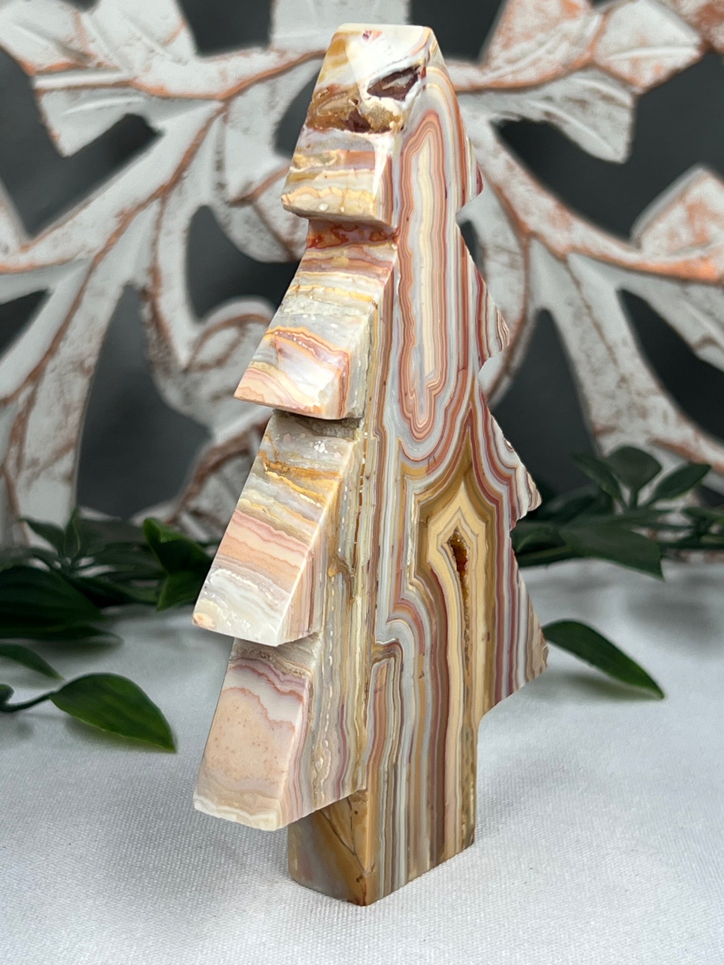 Crazy Lace Agate Tree