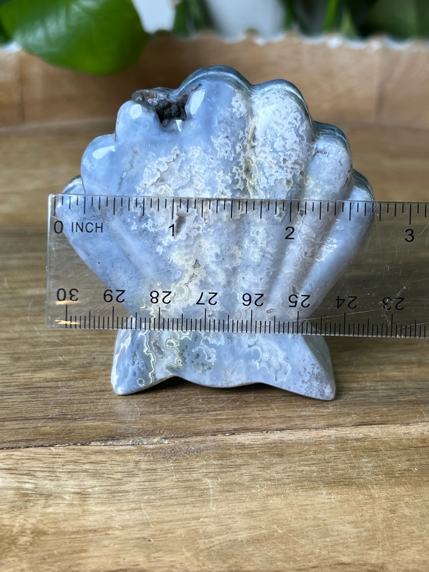 Blue Plume Agate Shell