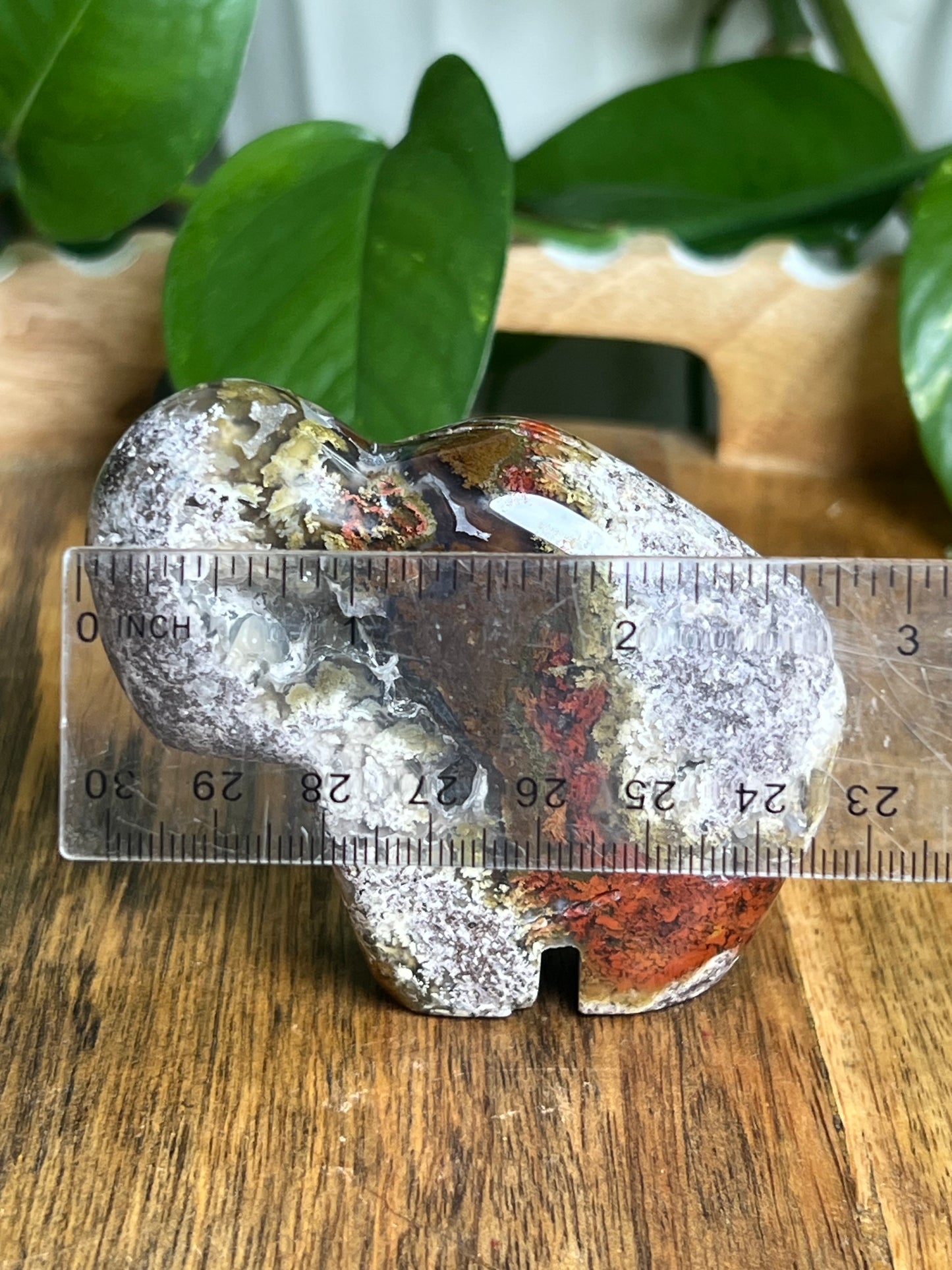 Scenic Moss Agate Buffalo NA