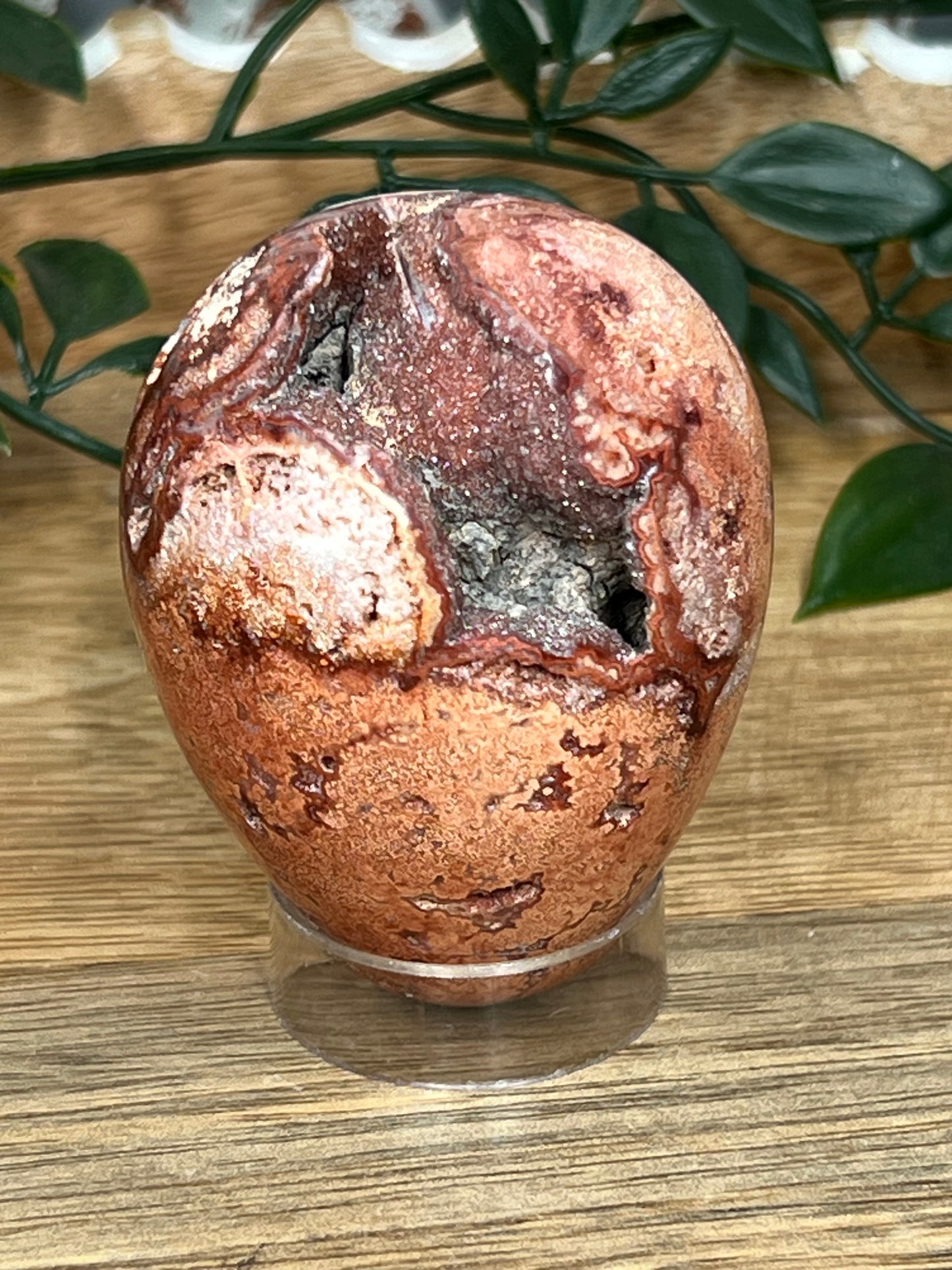 Crazy Lace Agate Egg