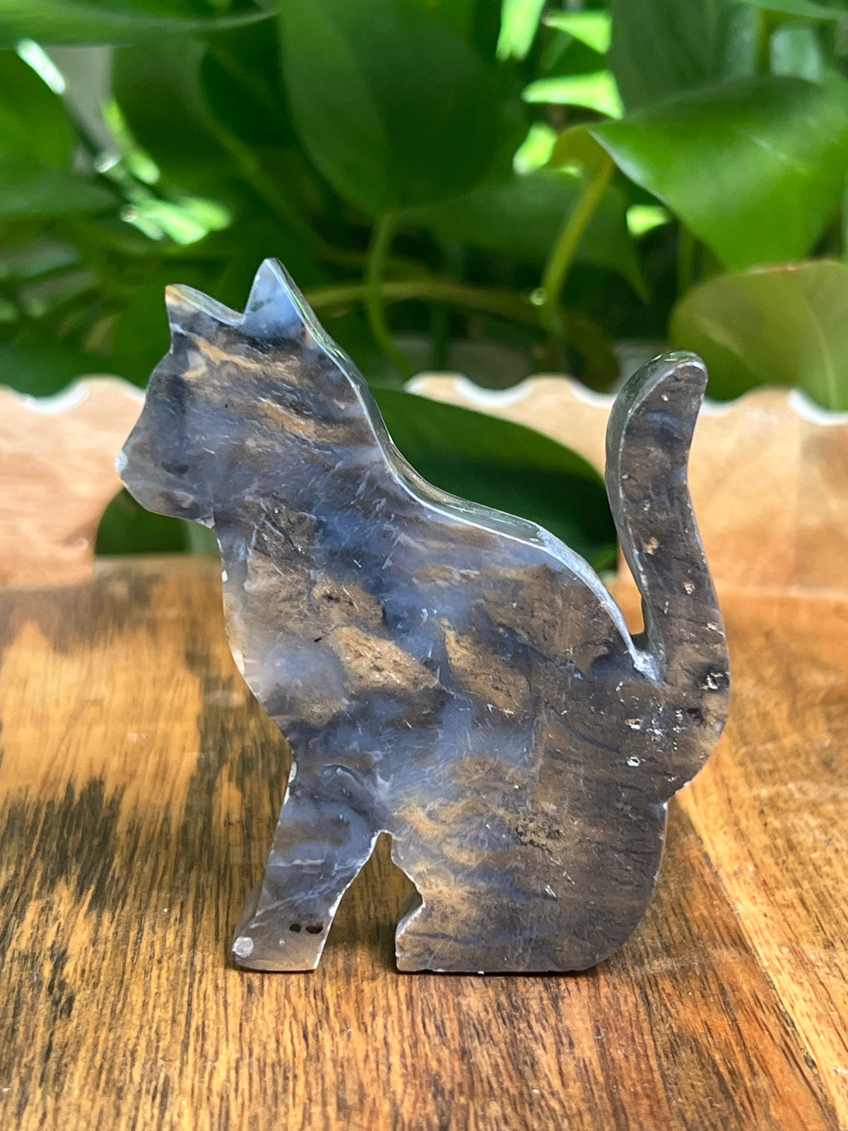 Dendritic Tiger Agate Cat: BE