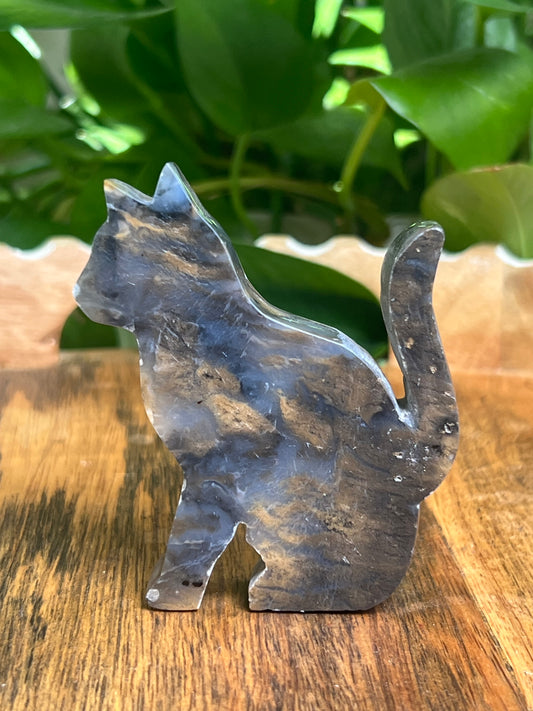 Dendritic Tiger Agate Cat: BE