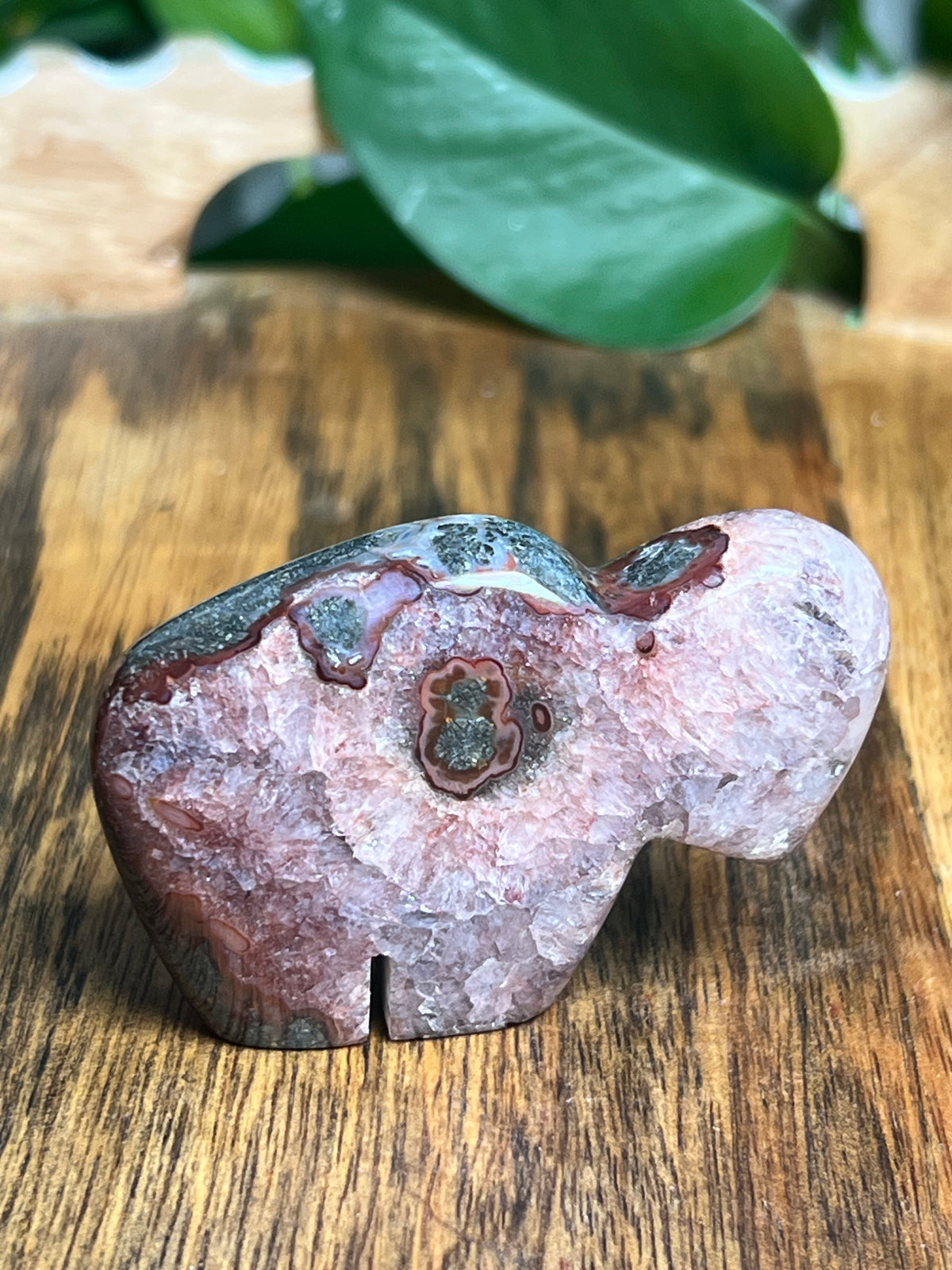 Marcasite Mini Buffalo: MR