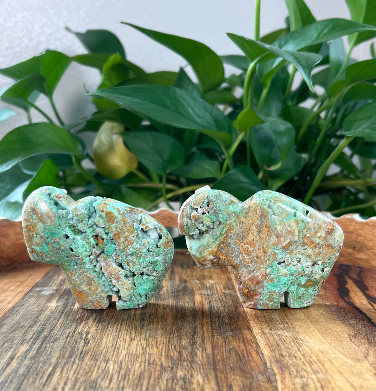 Smithsonite Buffalos