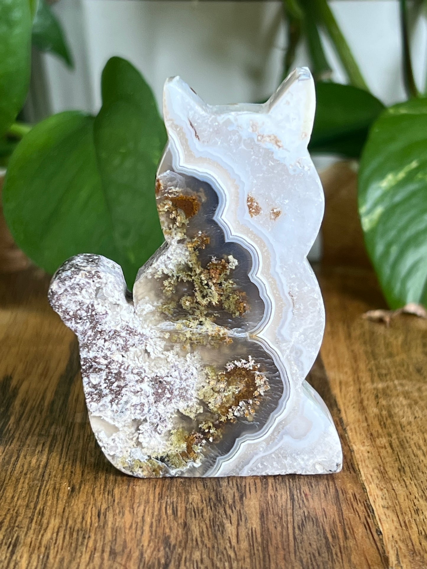 Scenic Moss Agate Cat HN