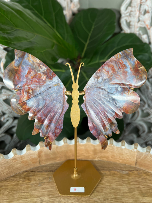 Rainbow River Jasper Wings