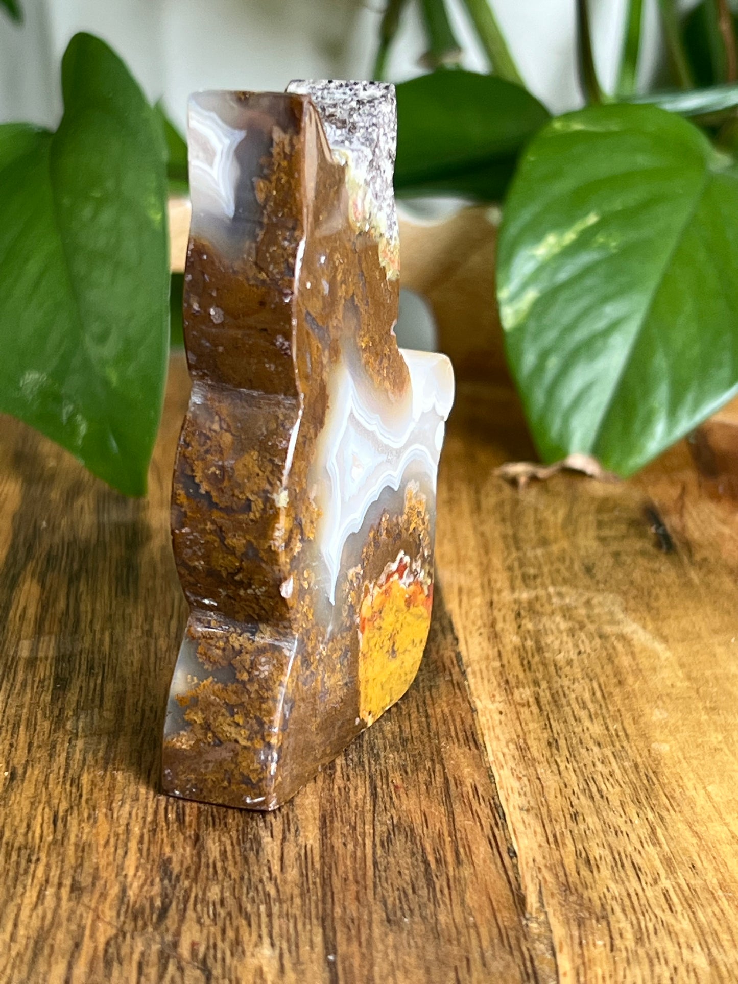 Scenic Moss Agate Cat HZ