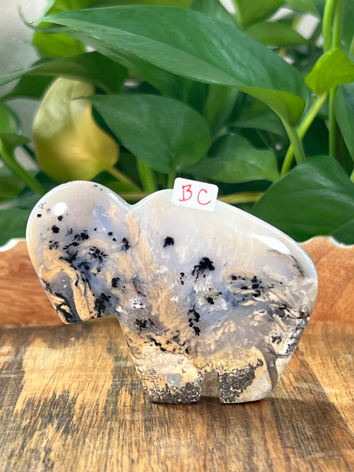 Dendritic Tiger Agate Buffalos