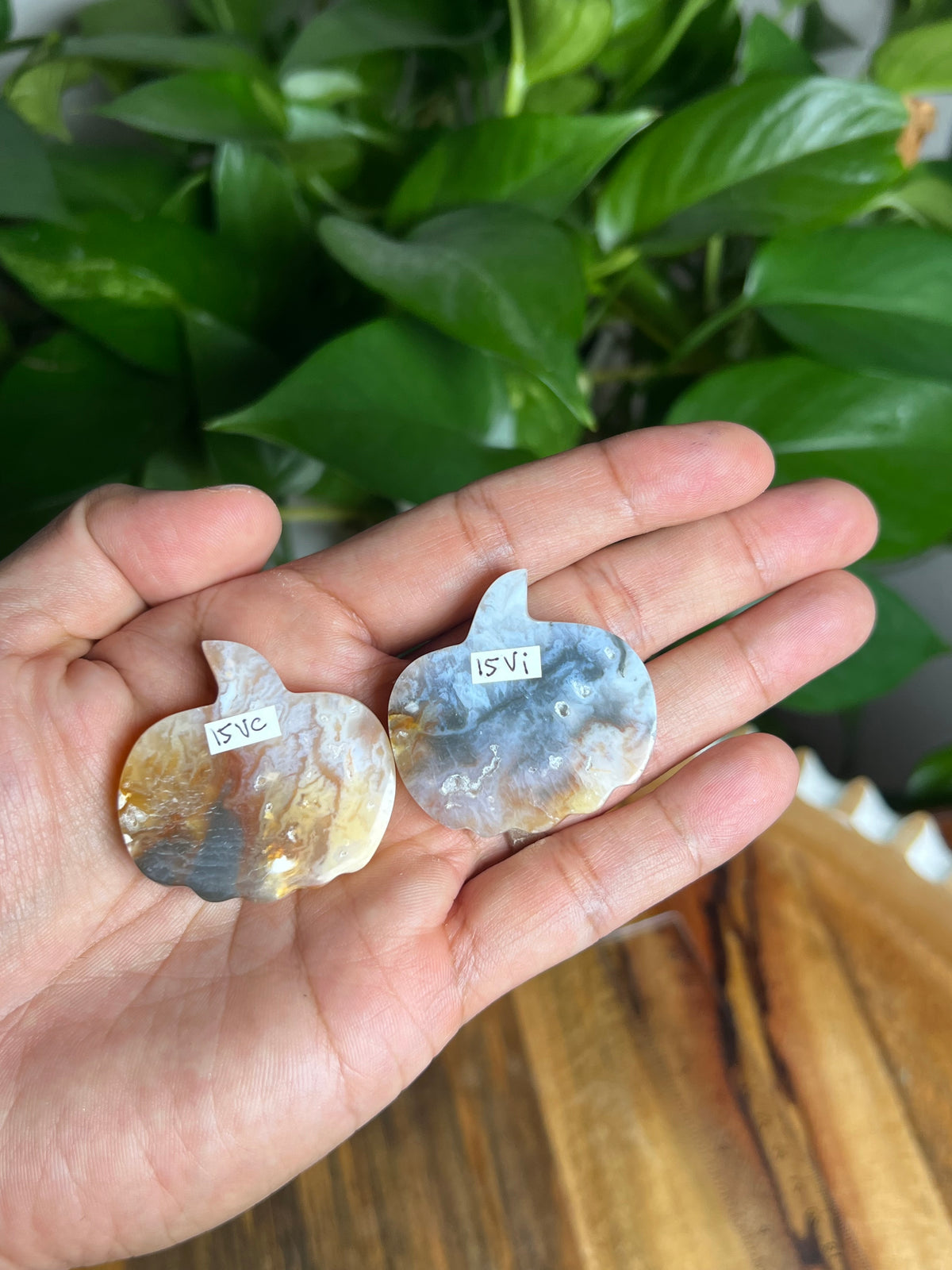 Rainbow Plume Agate Mini Pumpkin