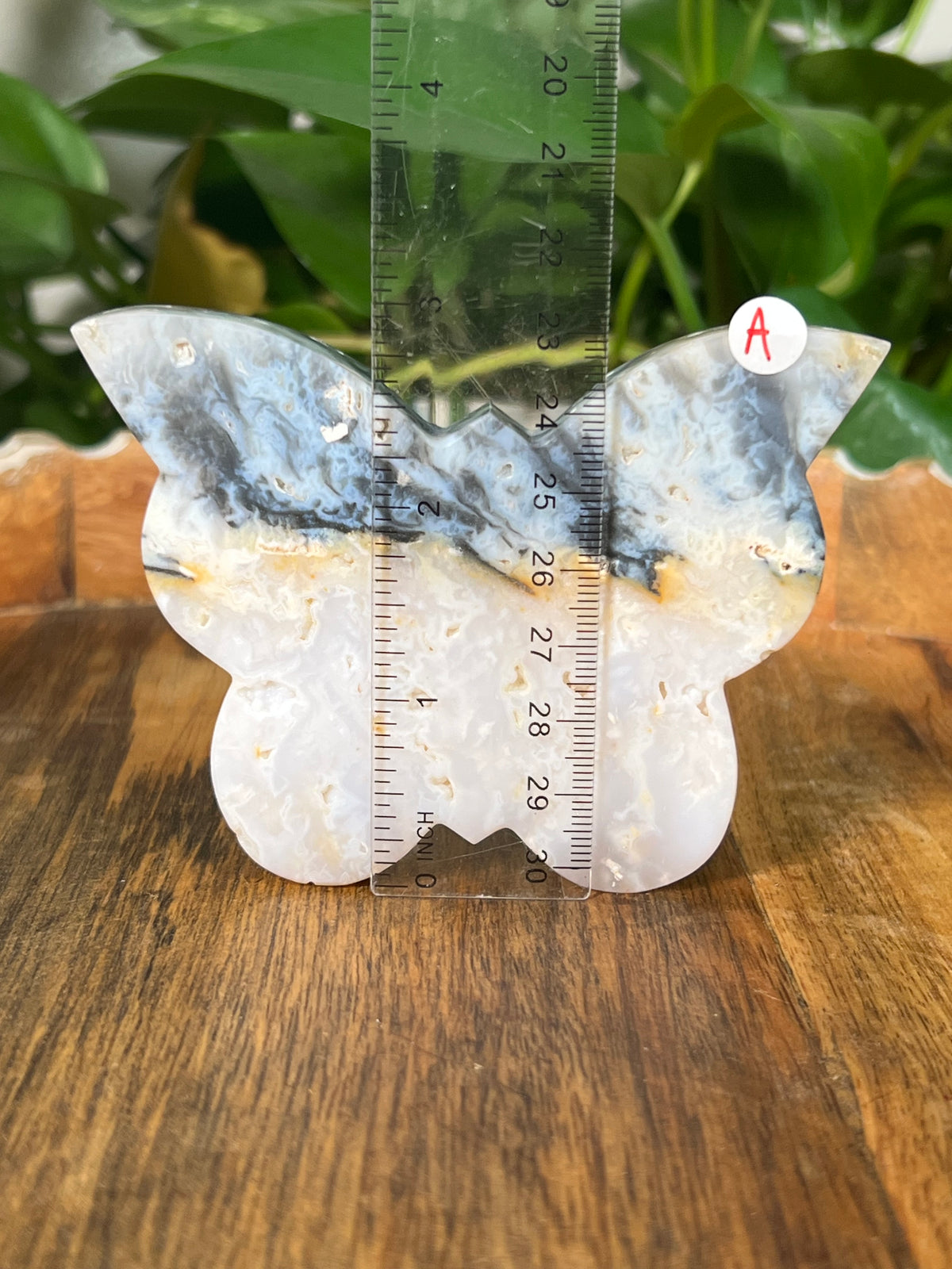 Rainbow Plume Agate Butterflies