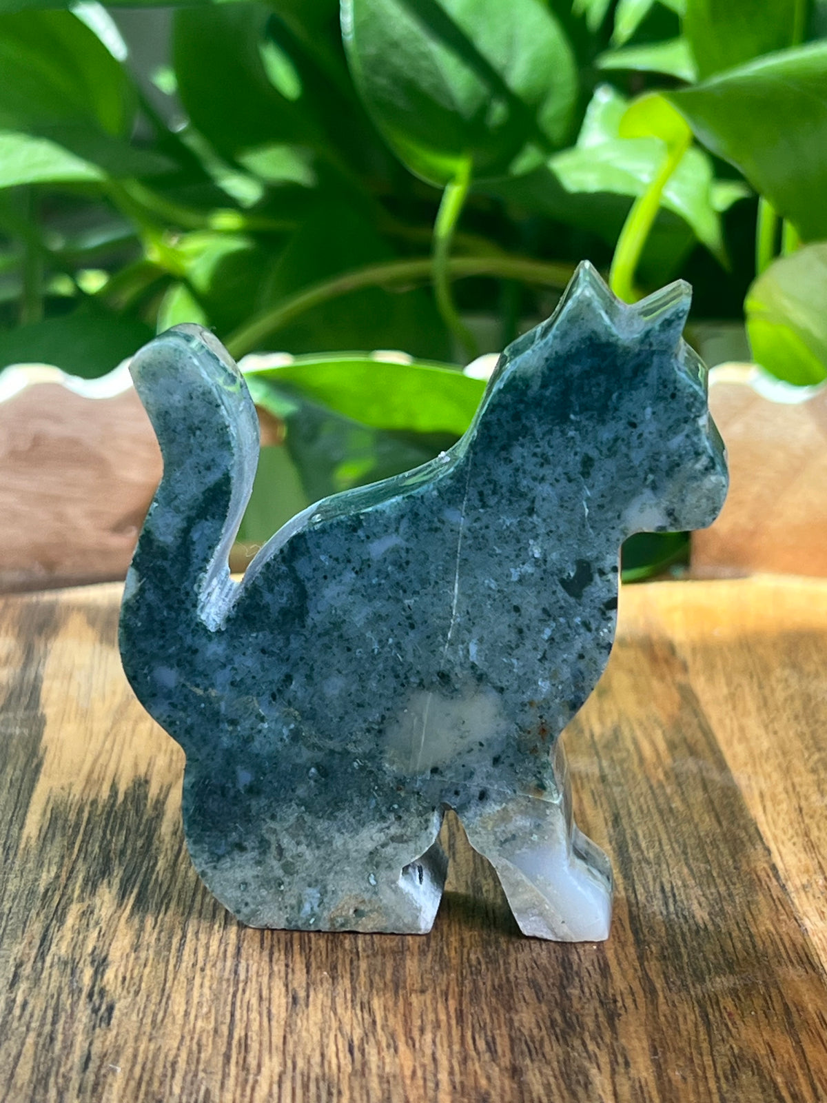 Blue Green Jasper Cat: CQ