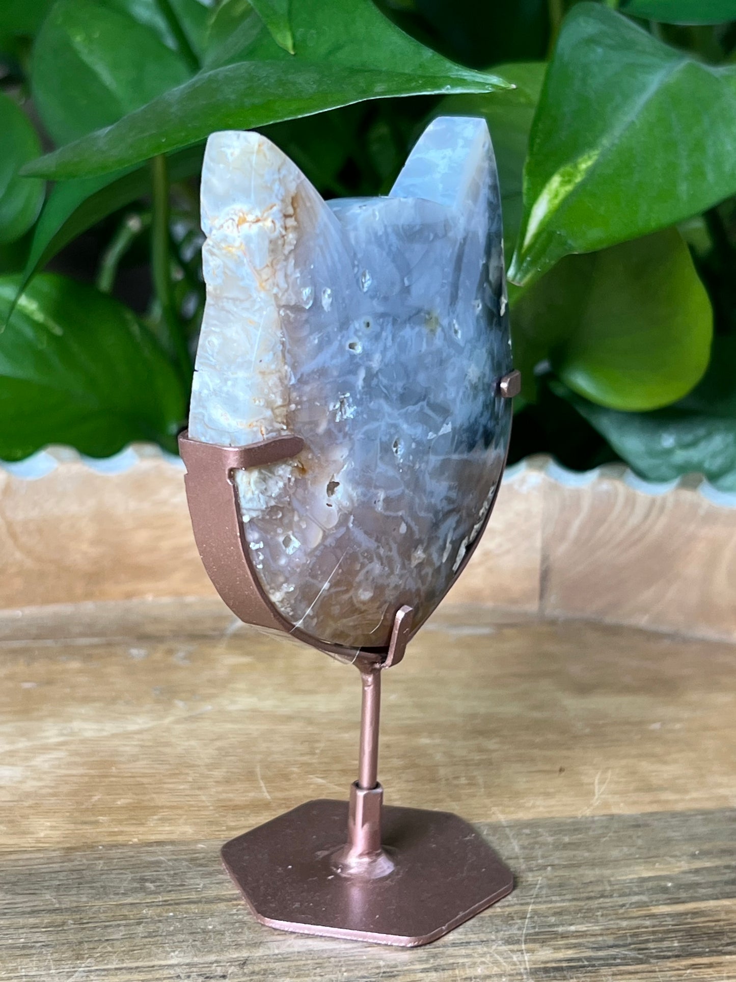 Rainbow Plume Agate Cat Head