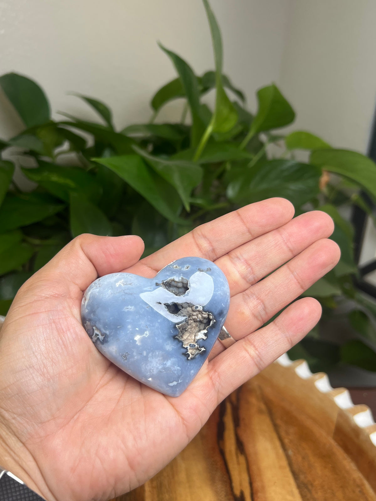 Blue Plume Agate Palmstone: Ri