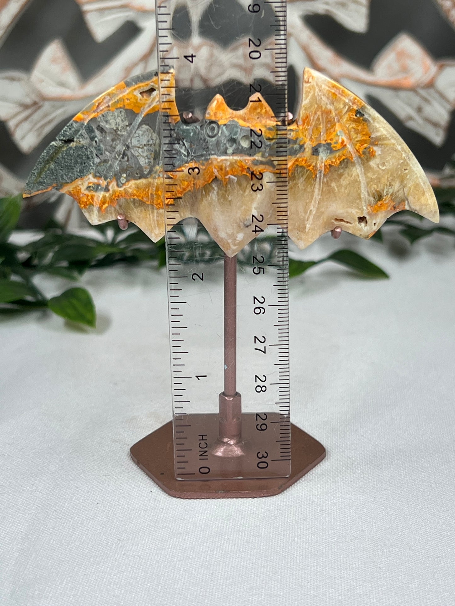 Bumblebee Jasper Bat