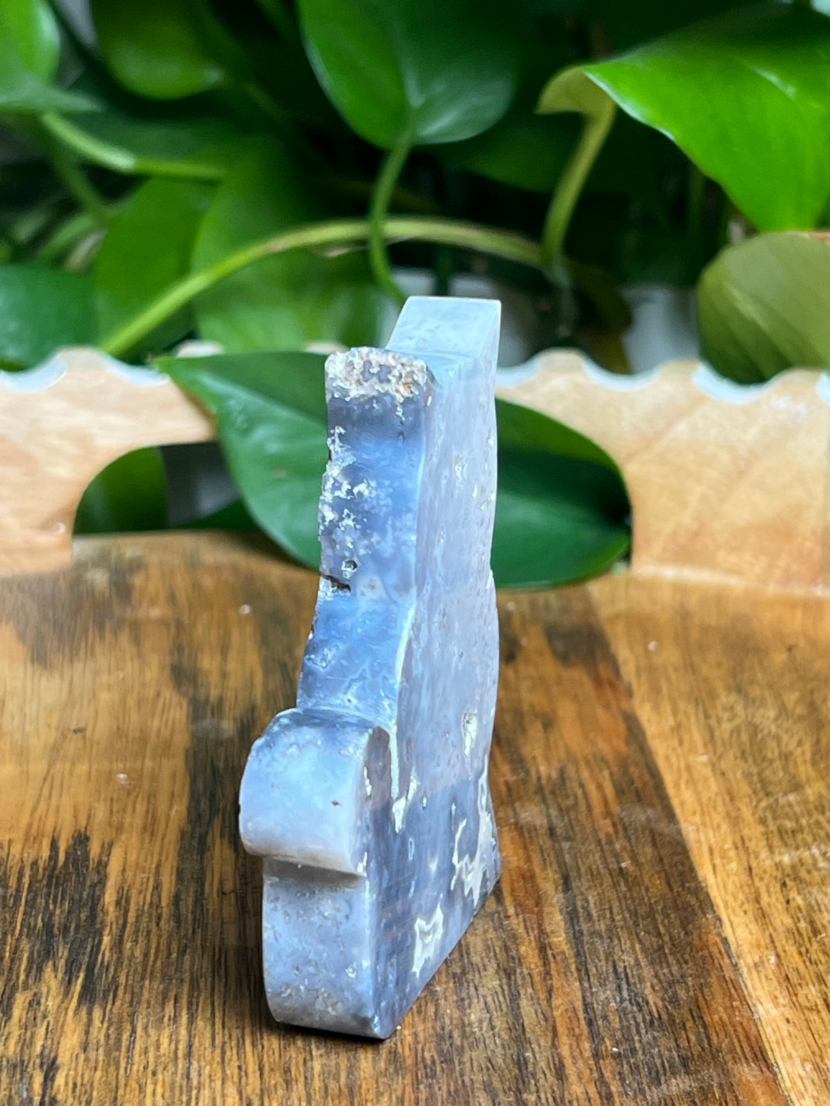 Blue Plume Agate Cat: BD