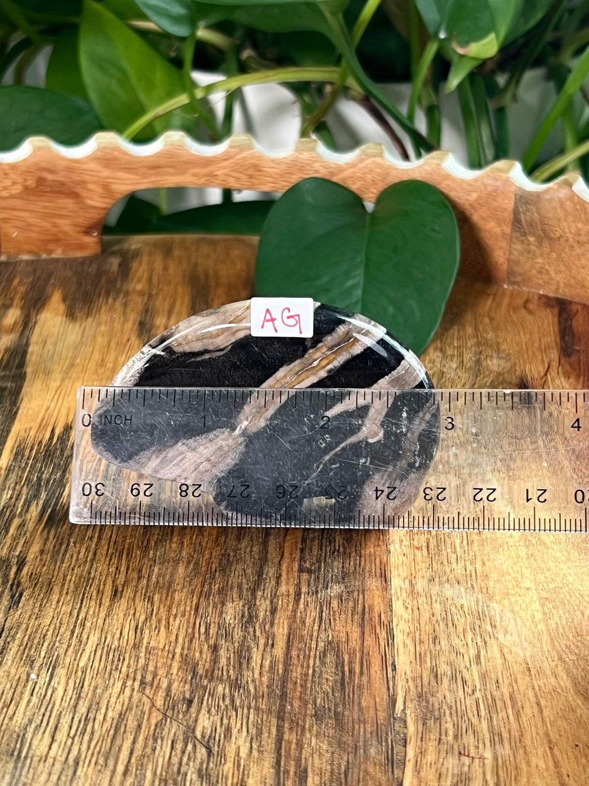 Fossil Wood Bears