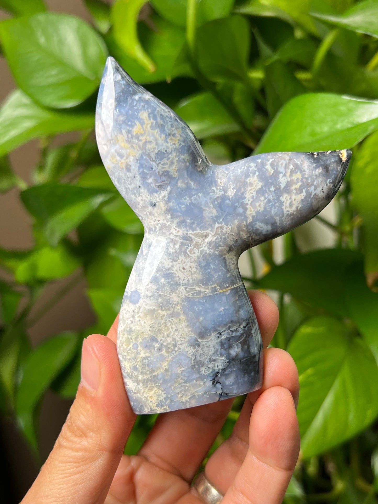 Blue Plume Agate Tail