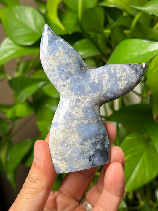 Blue Plume Agate Tail