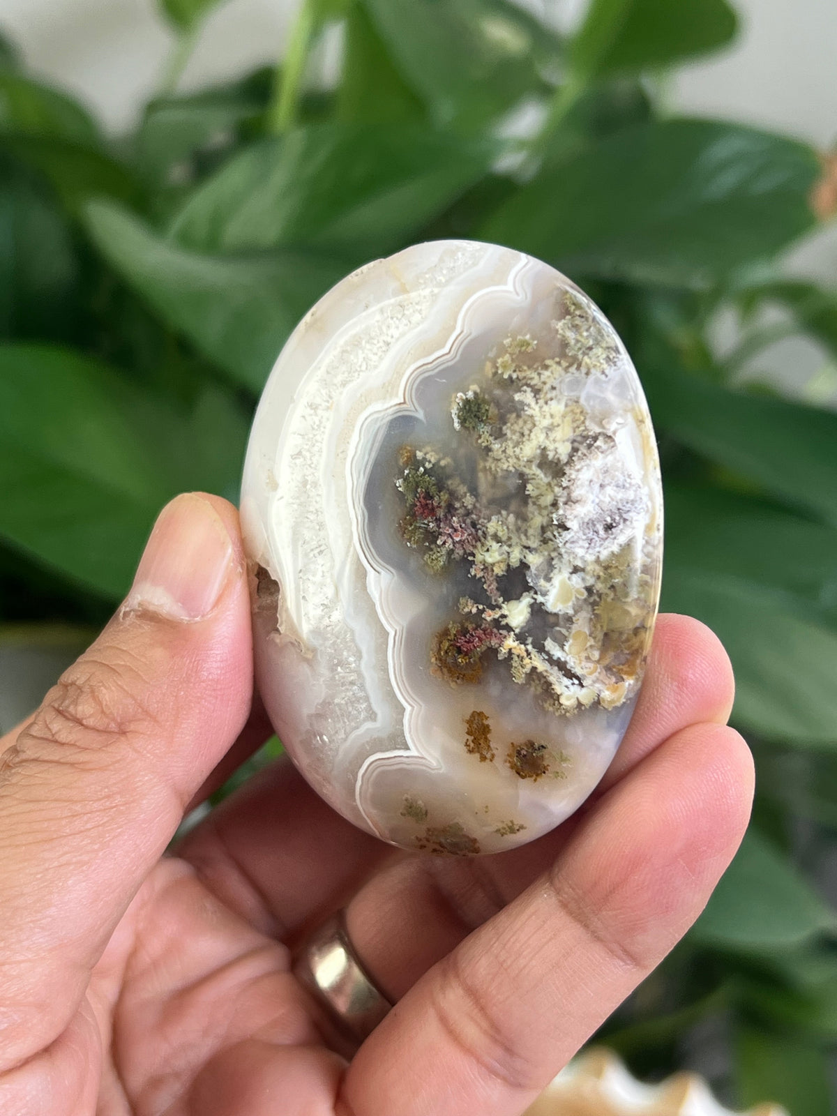 Scenic Moss Agate Palmstone: Bi