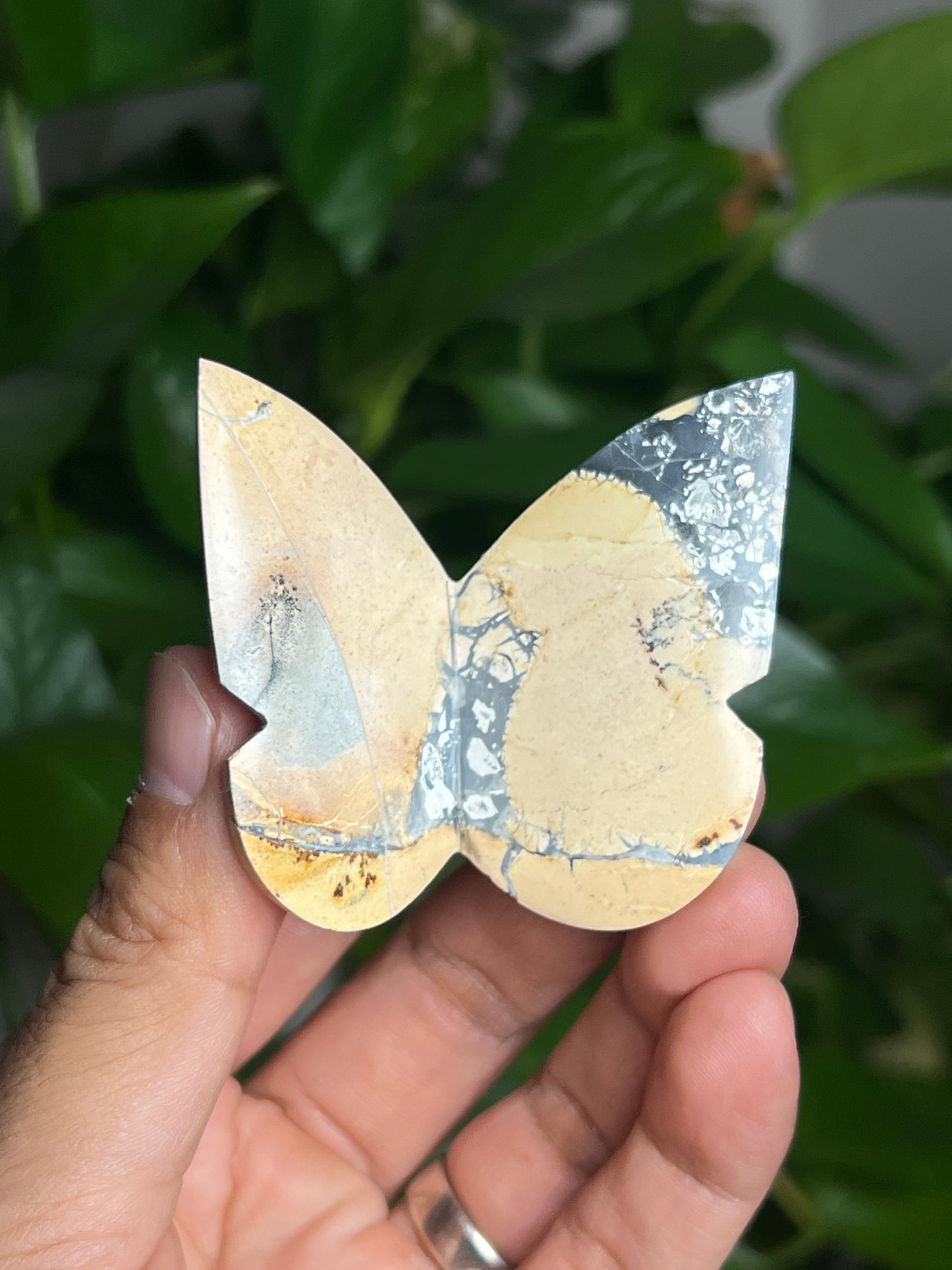 Maligano 3D Butterfly: BK