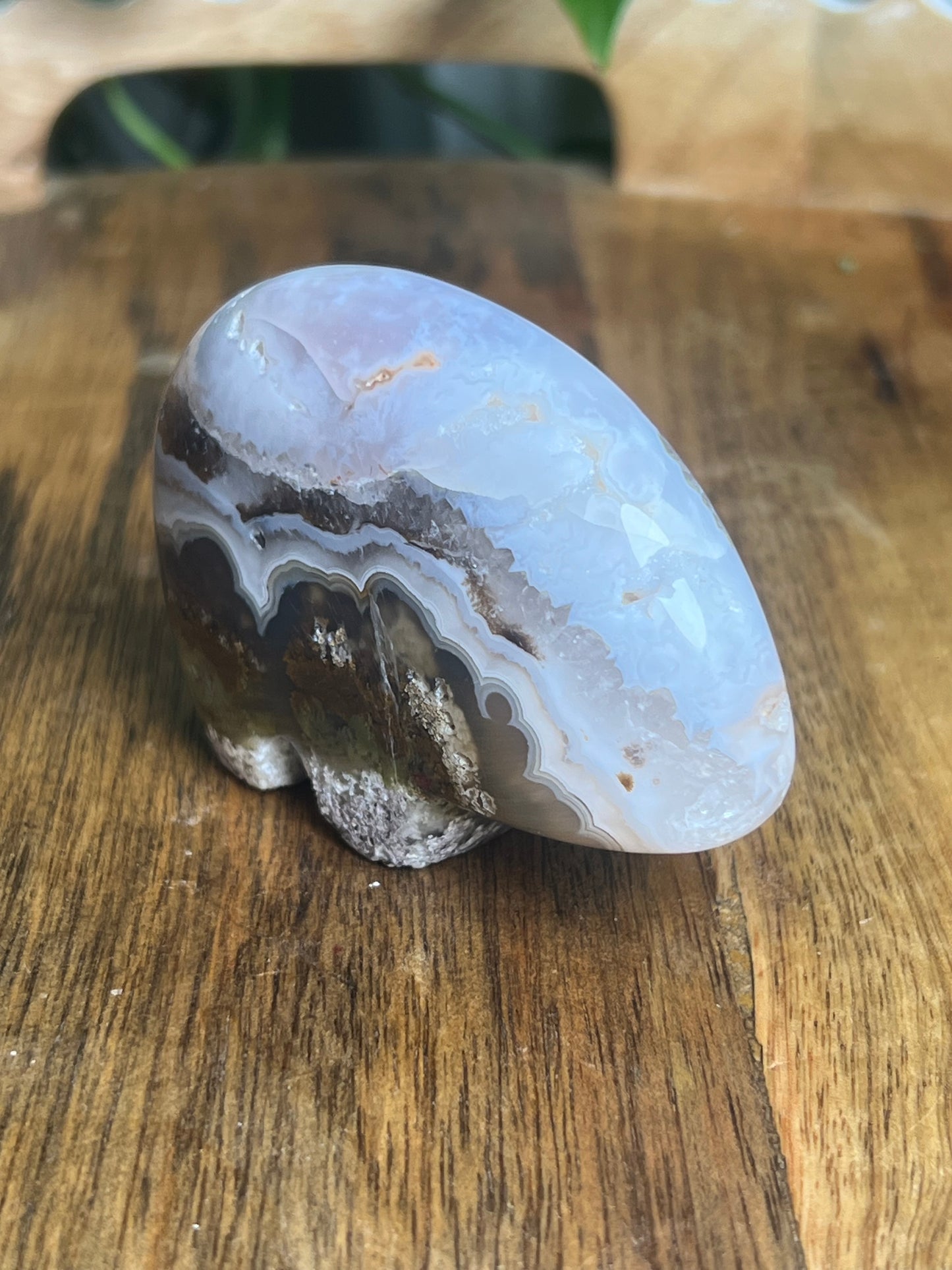 Scenic Moss Agate Bear BX
