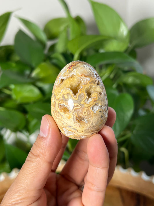 Crazy Lace Agate Egg