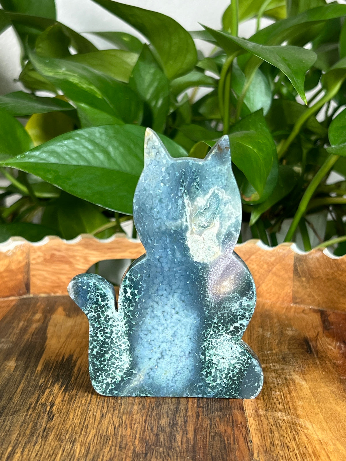 Grape Agate Cat: AE