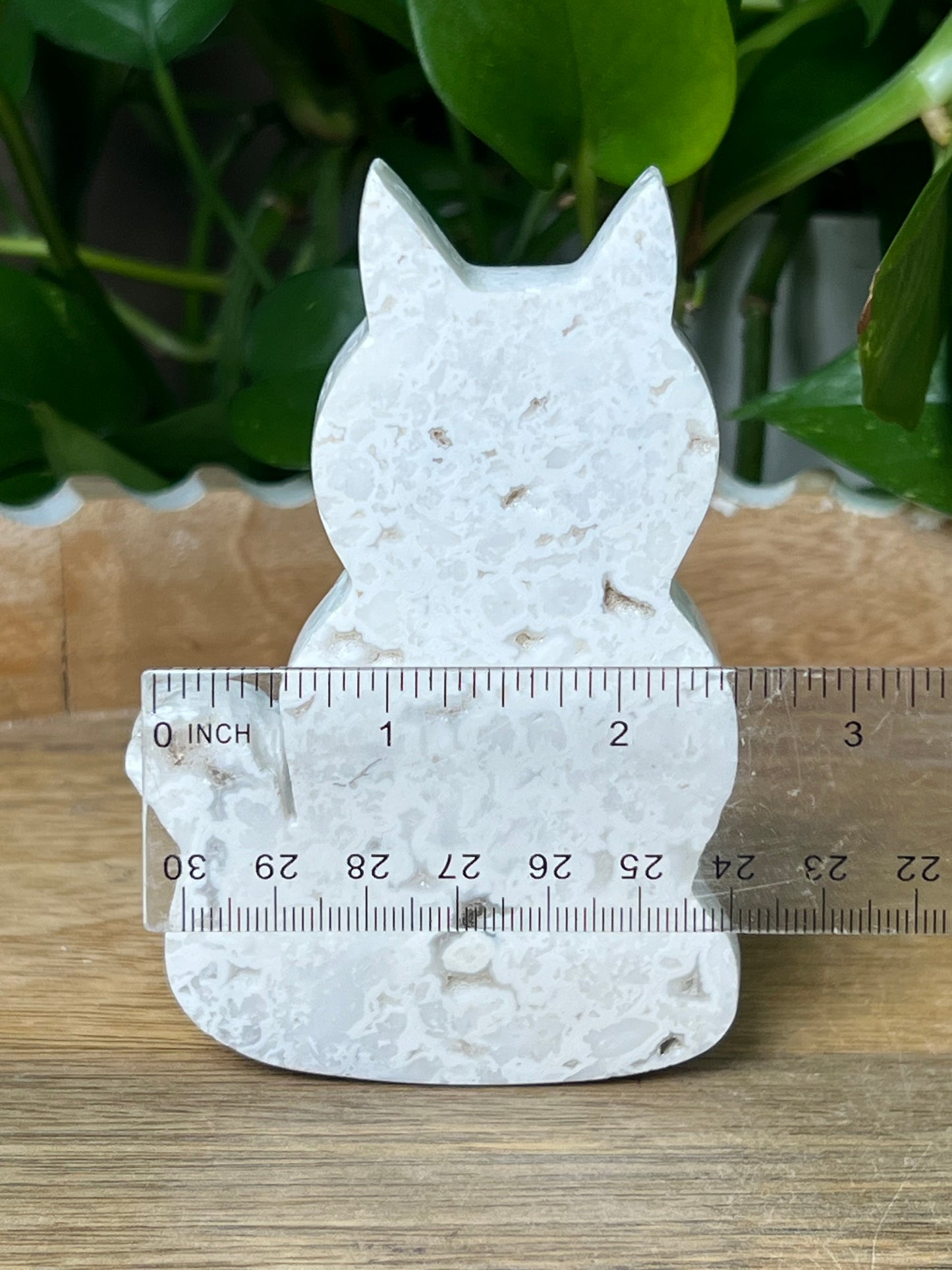 White Plume Agate Cat