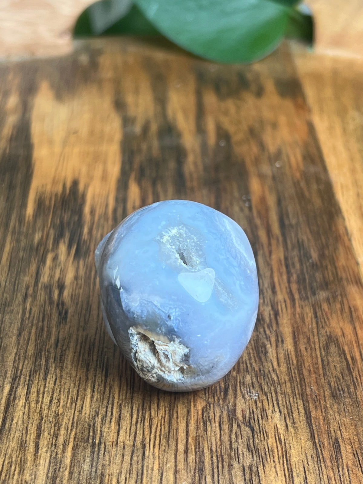 Blue Plume Agate Skull: G