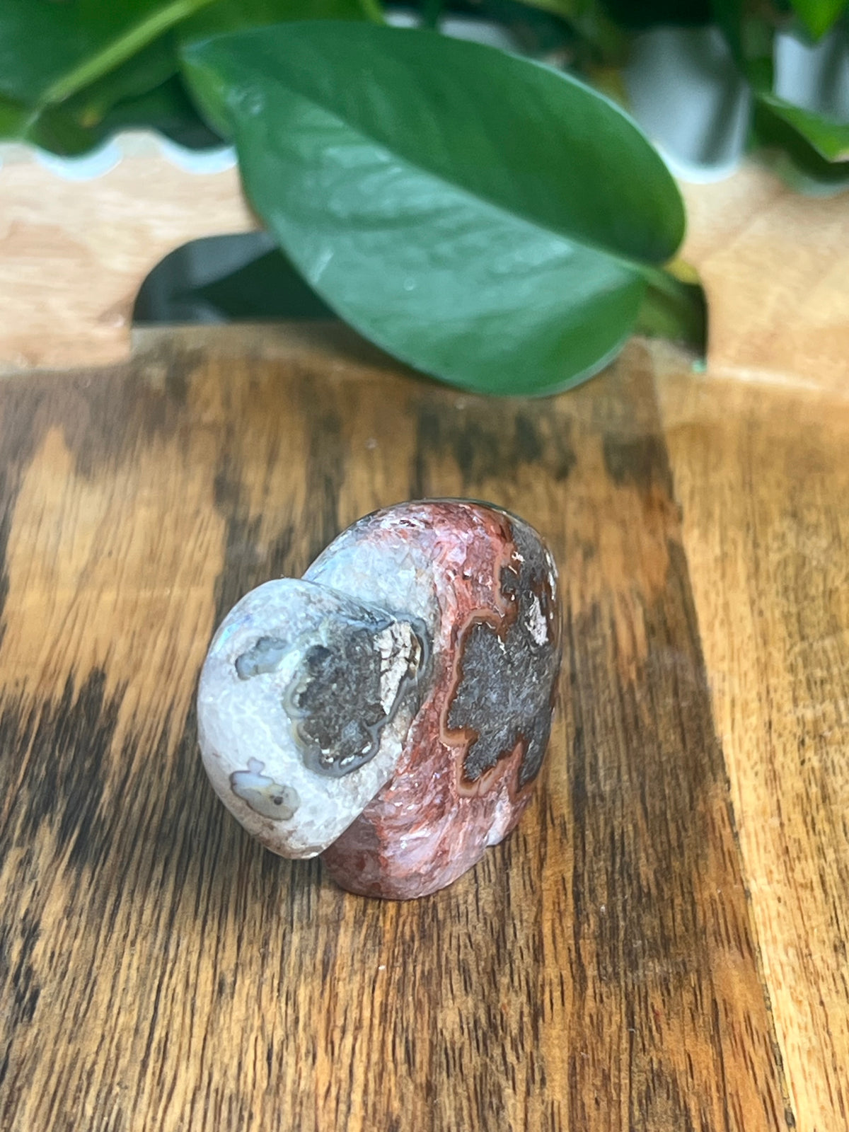 Marcasite Mini Buffalo: MF