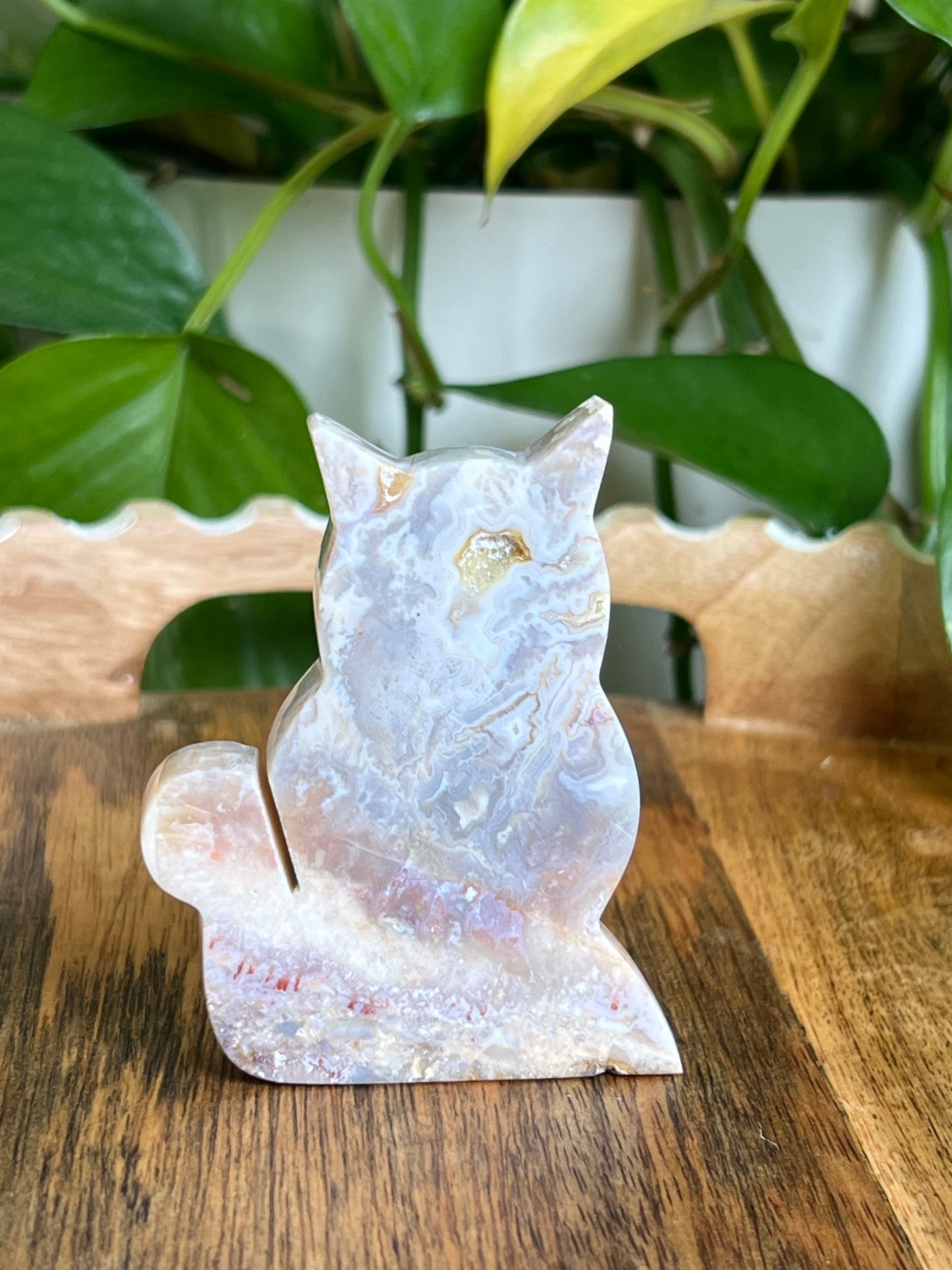 Sumatra Agate Cat EE