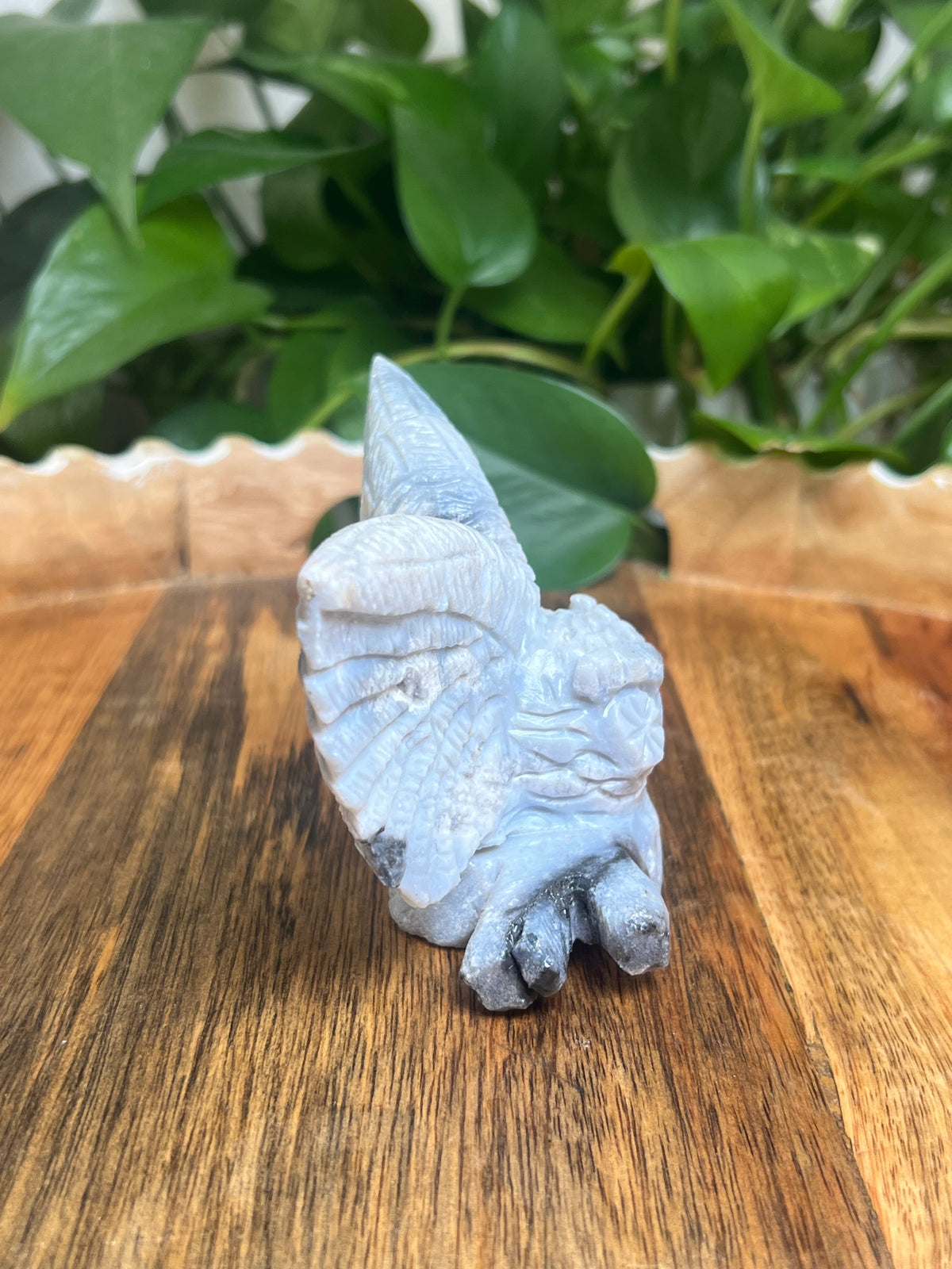 Blue Plume Agate Owl: XX