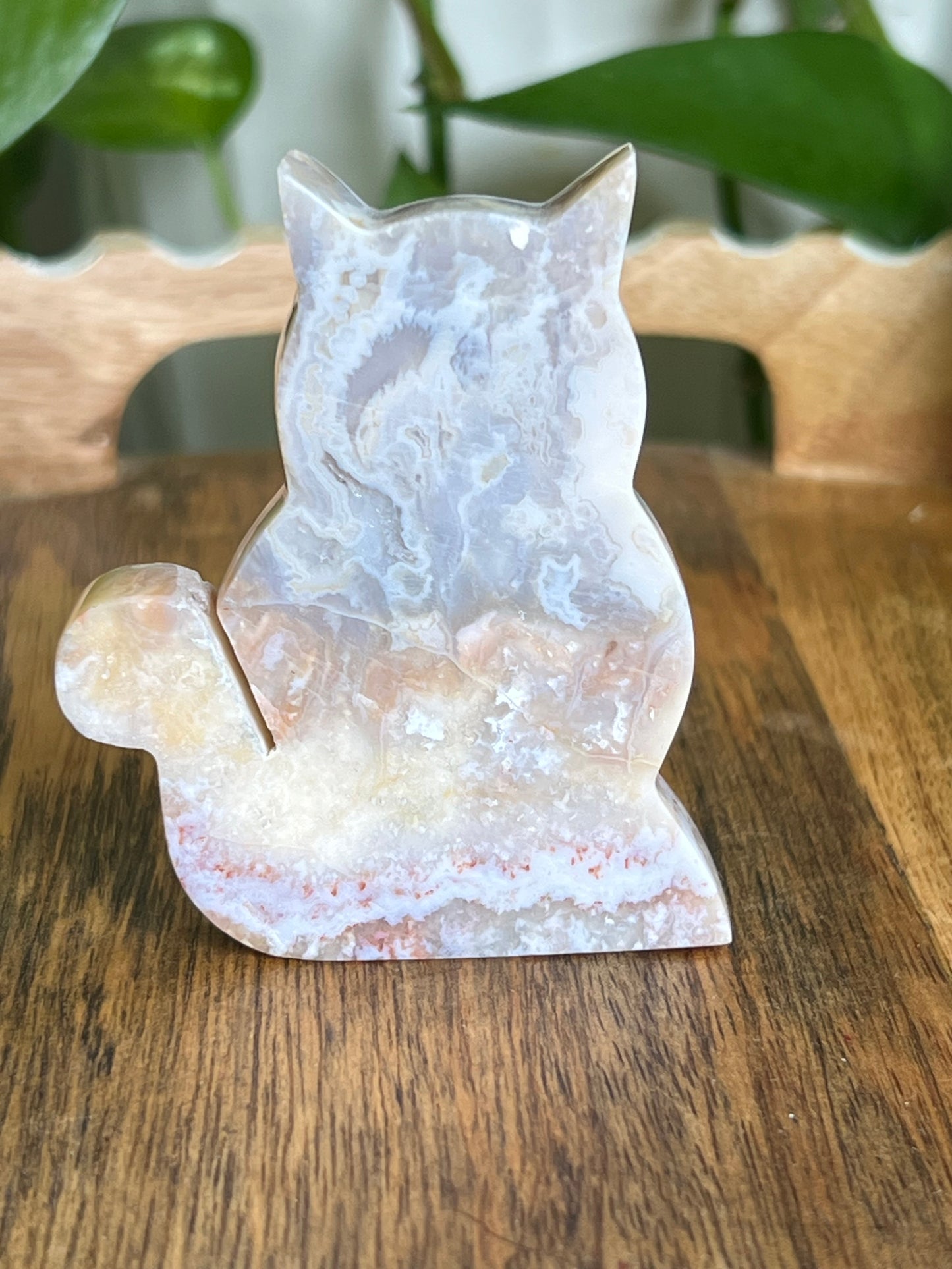 Sumatra Agate Cat EC