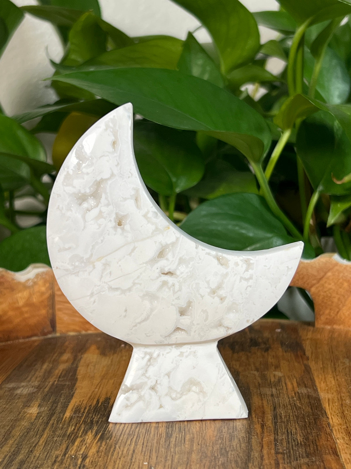 White Plume Agate Self Standing Moons