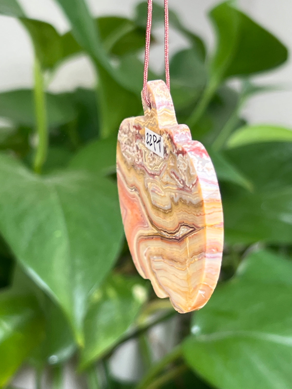 Crazy Lace Agate Ornament Pumpkin: PT