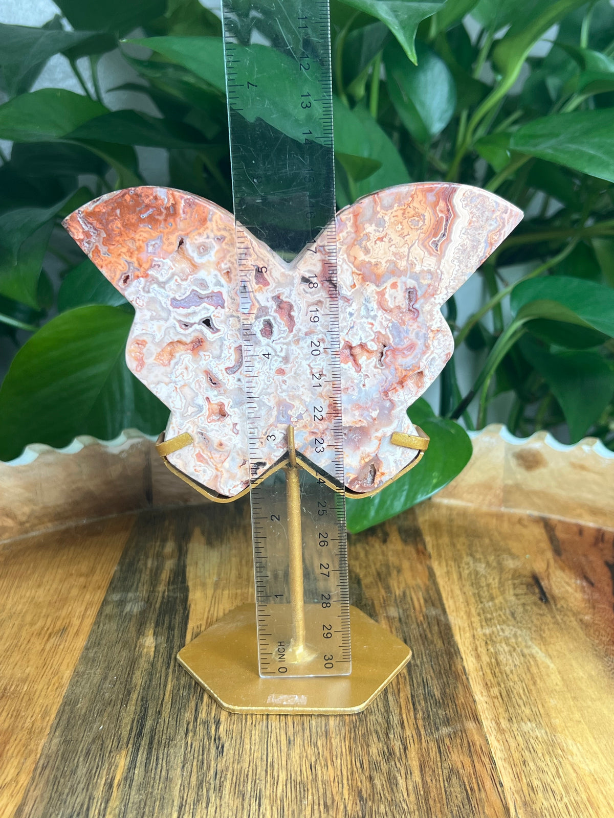 Crazy Lace Agate Butterfly: PE