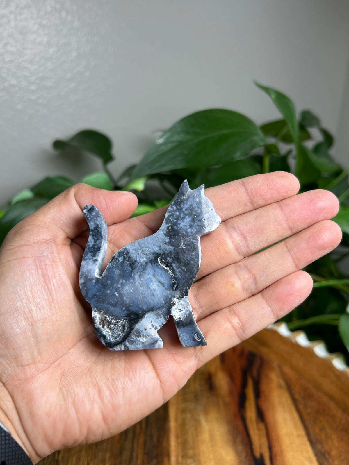 Blue Plume Agate Cat: LF