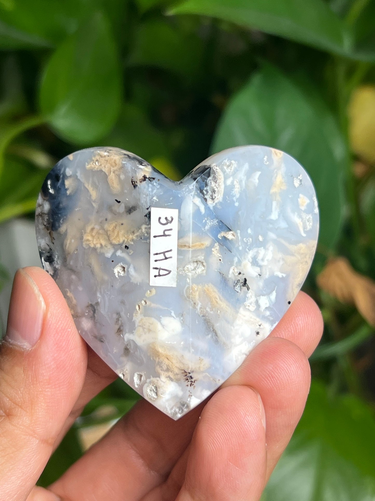 Dendritic Tiger Agate 3D Butterfly HA