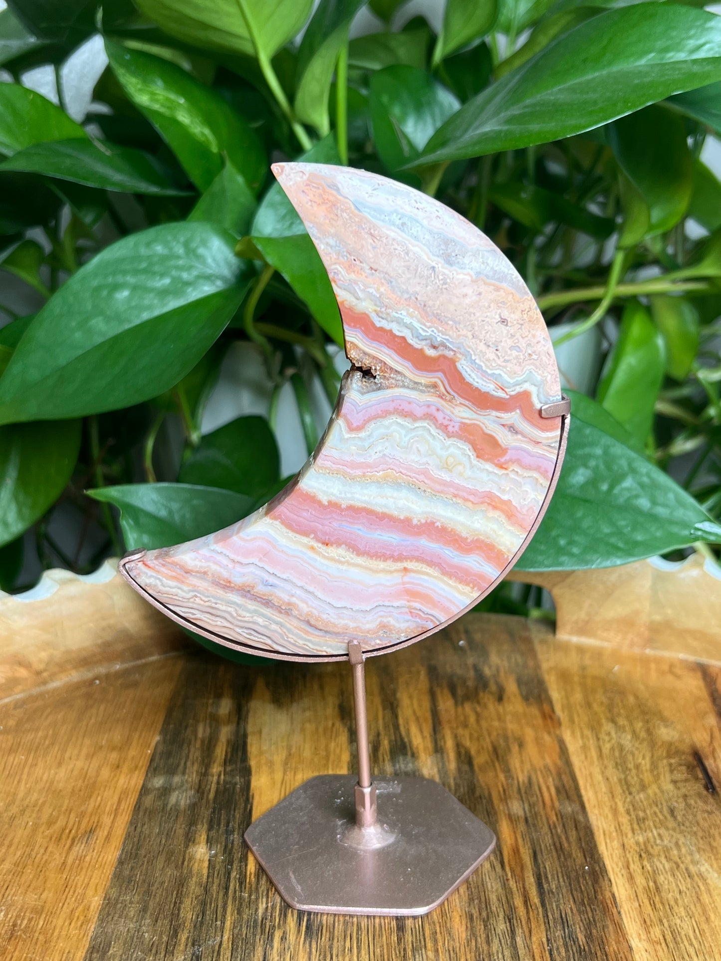 Crazy Lace Agate Moon: XS