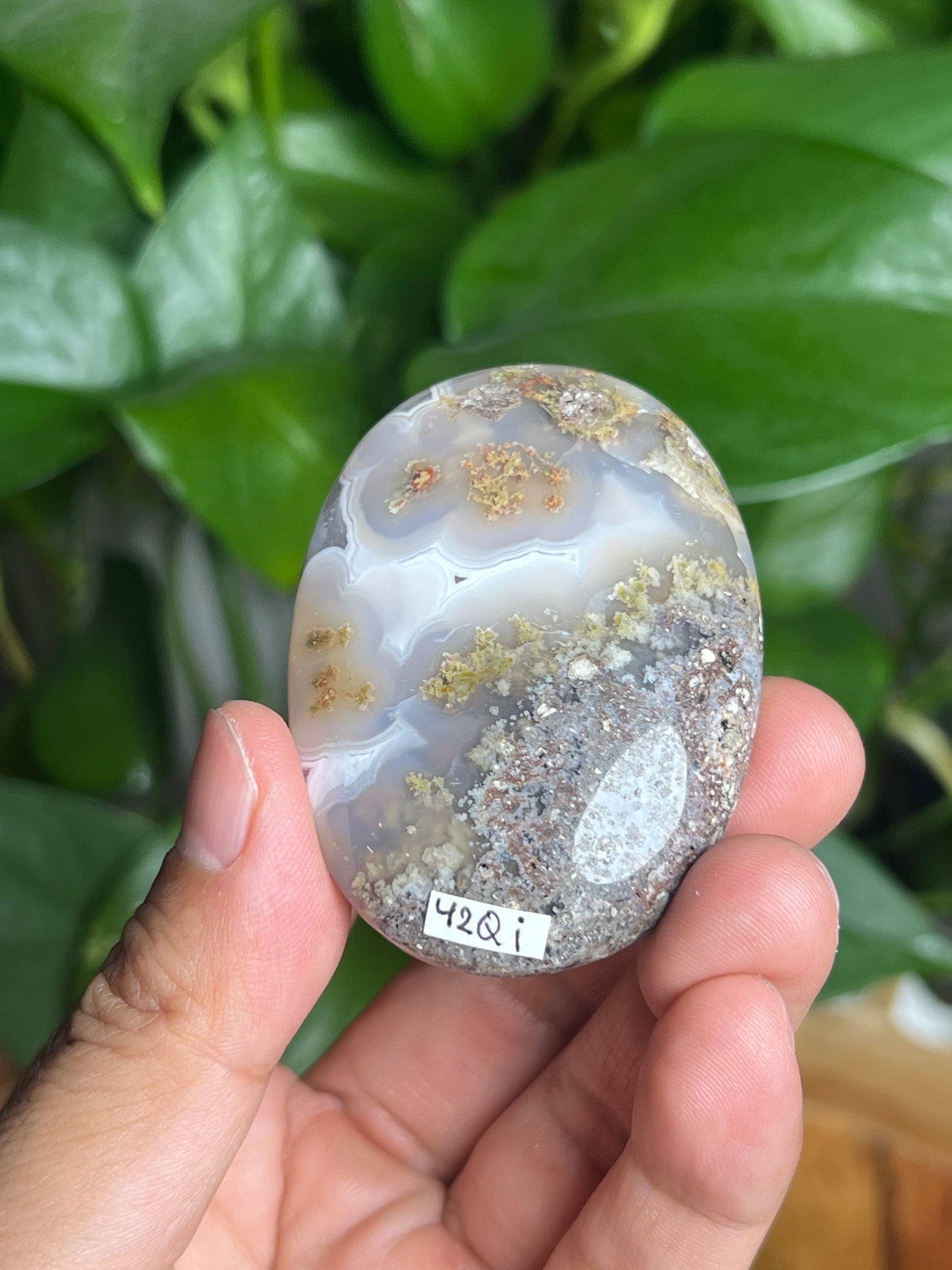 Scenic Moss Agate Palmstone: Qi