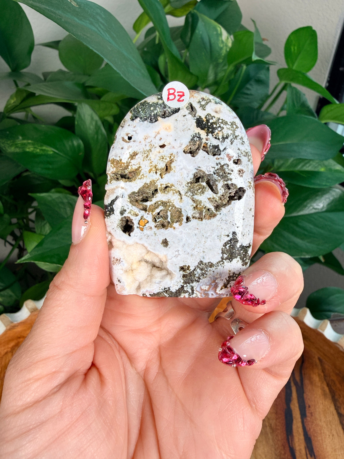 Sea Jasper Mini Freeforms