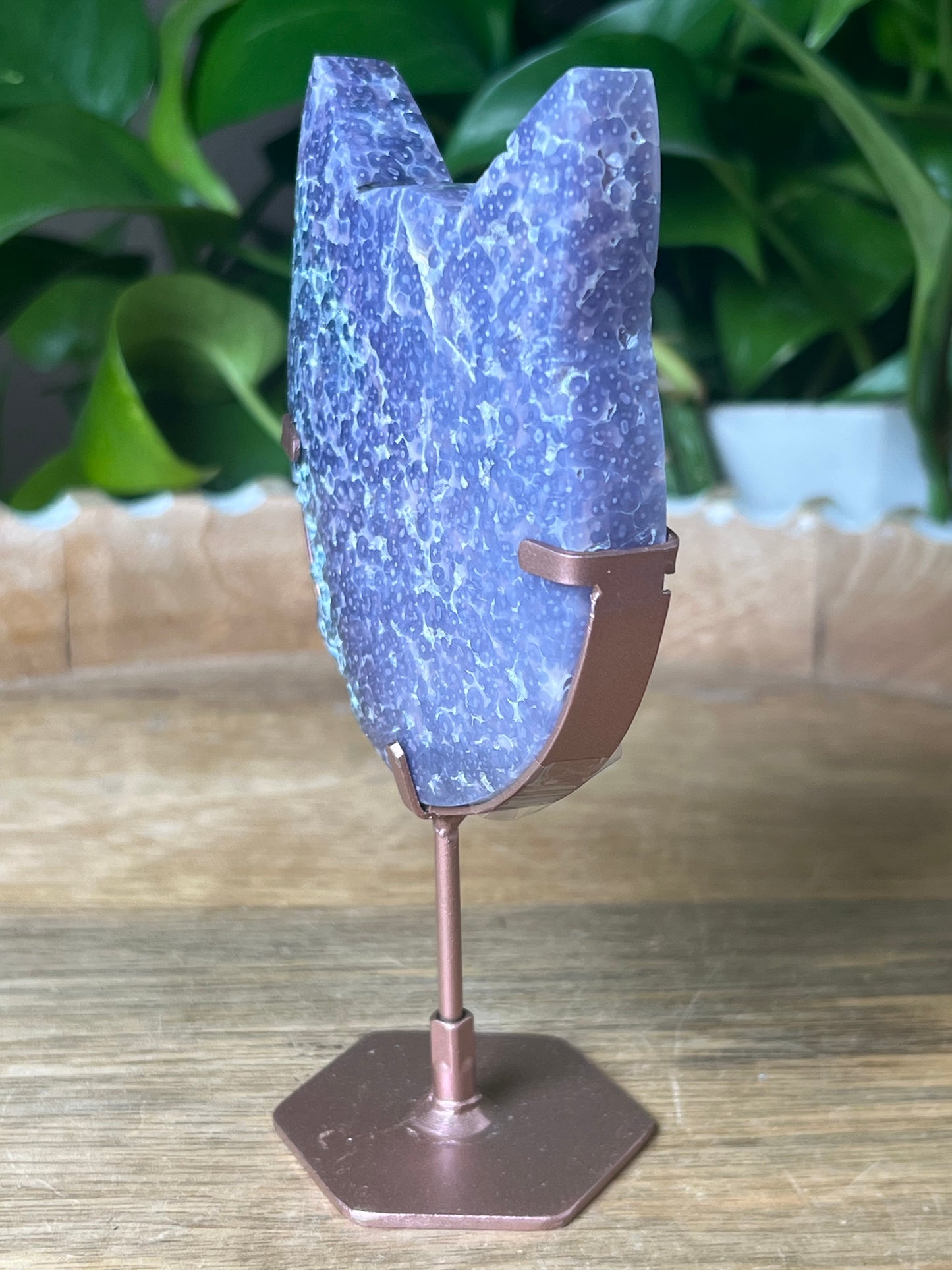 Grape Agate Cat