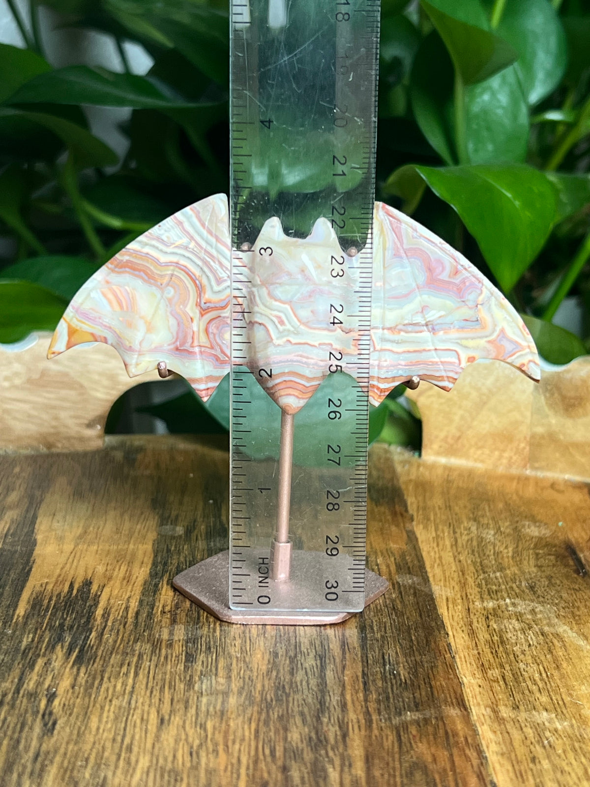 Crazy Lace Agate Bat: A