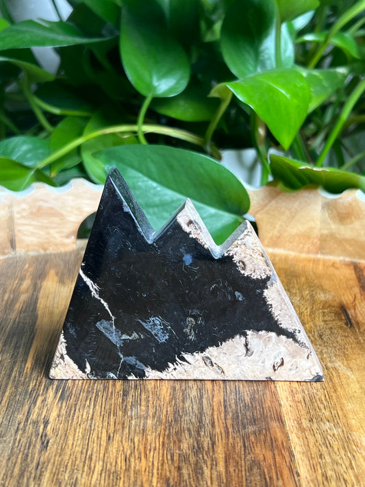 Palm Root Mountain: BA