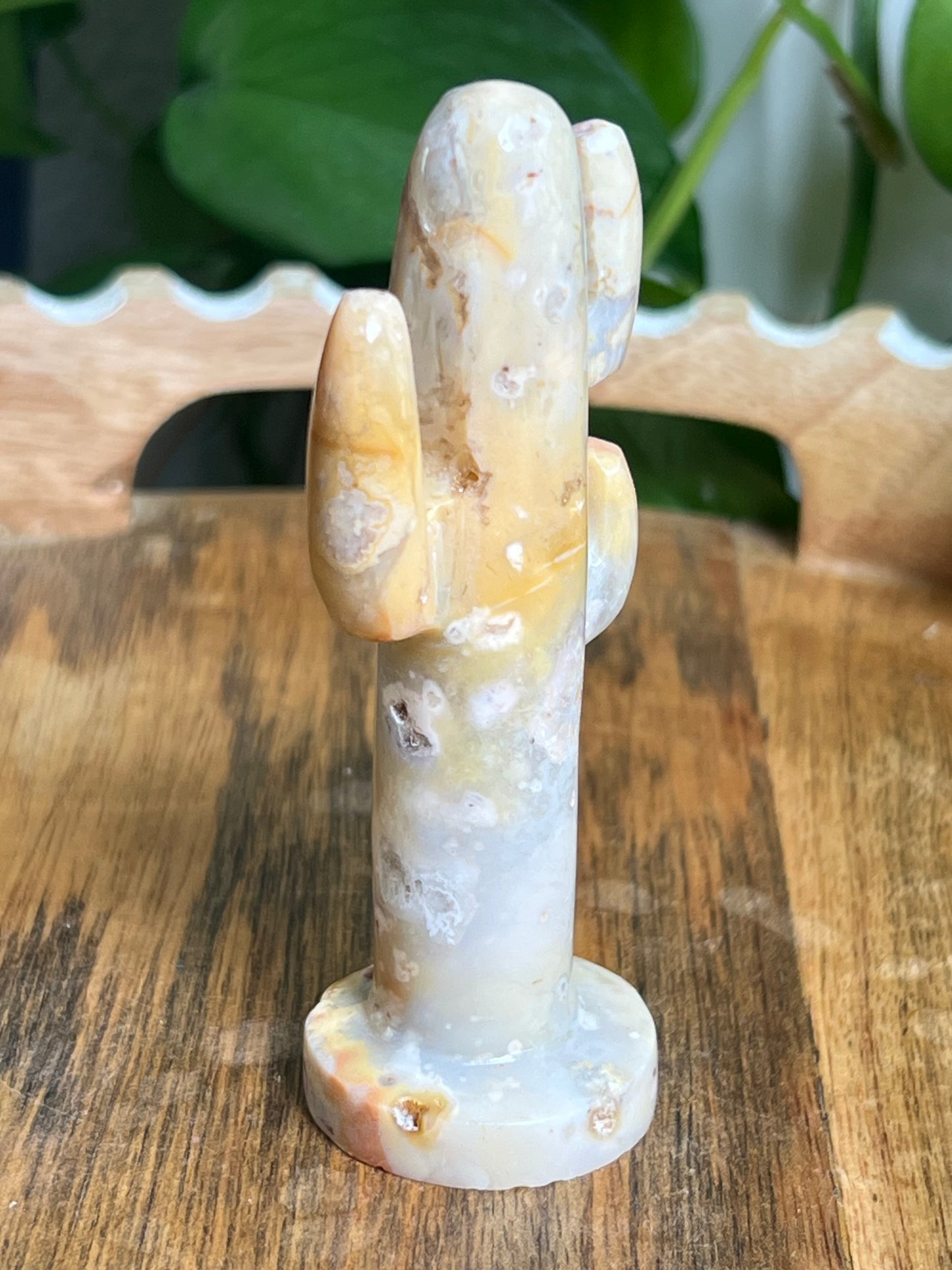 Crazy Lace Agate Cactus