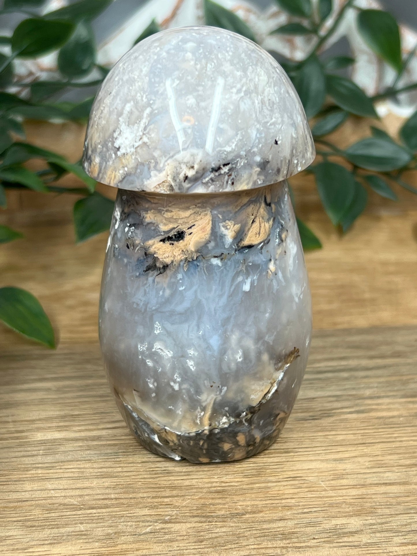 Dendritic Tiger Agate Mushroom