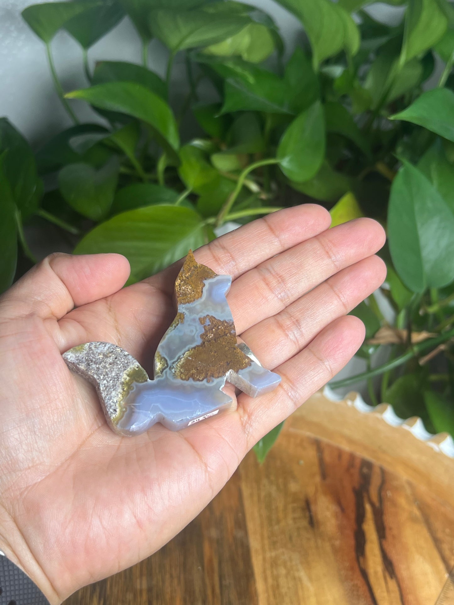 Scenic Moss Agate Fox PC
