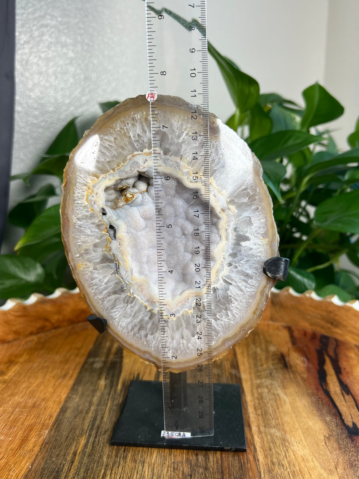 Brazilian Druzy Agate: AA