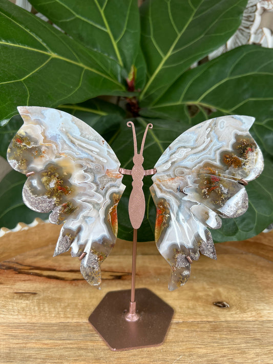 Scenic moss agate wings