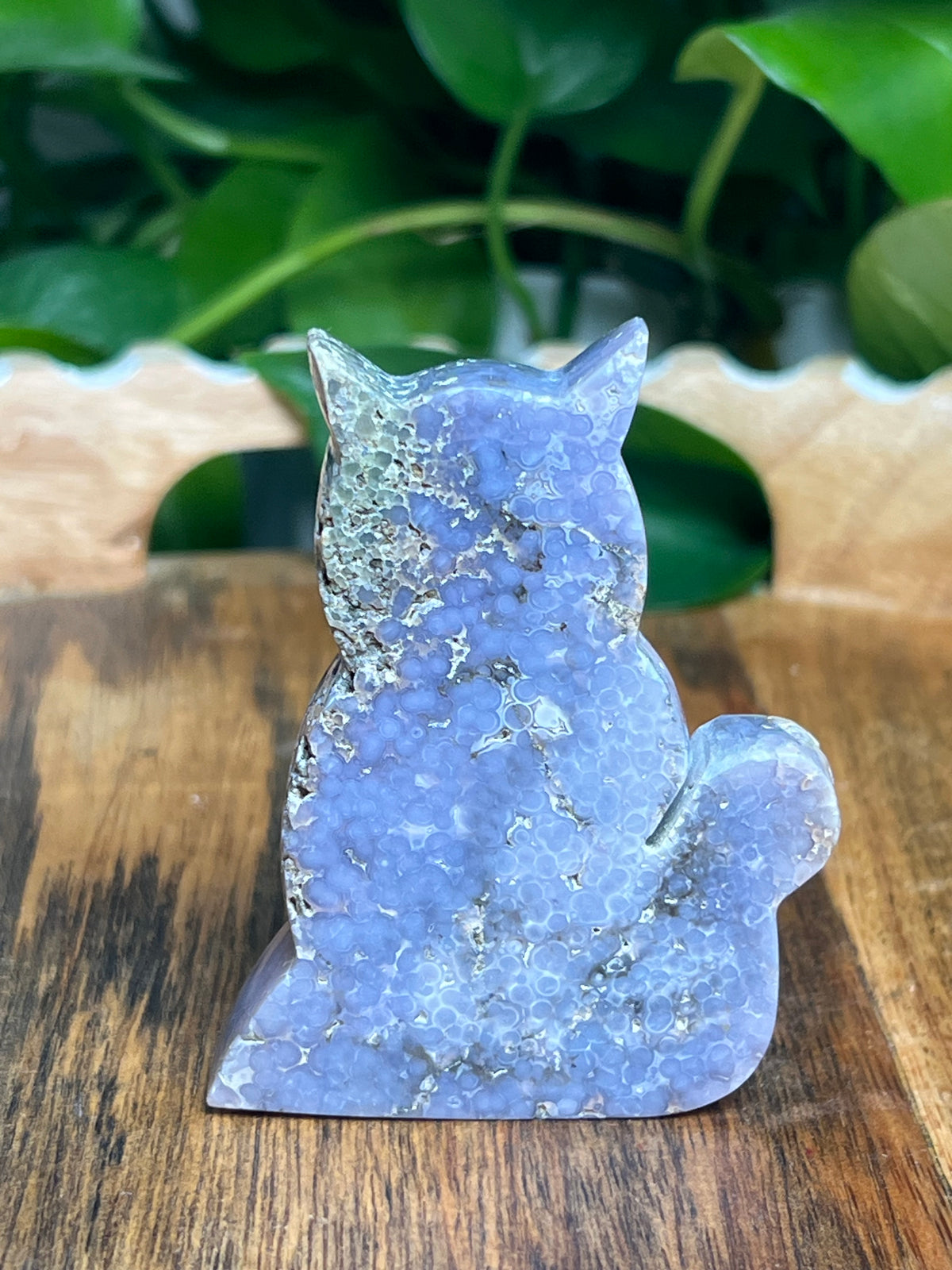 Grape Agate Cat: NV